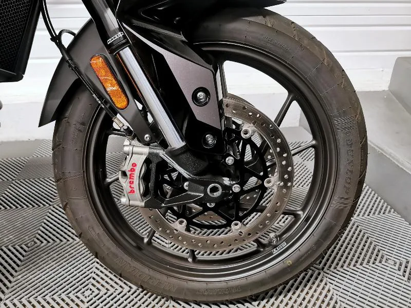 Tiger 900 GT PRO