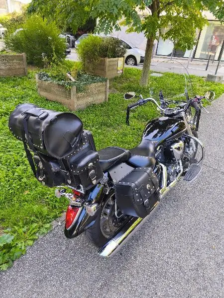 XVS 1300