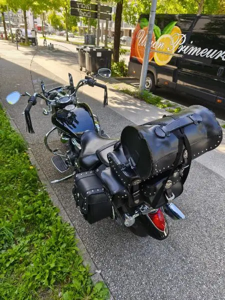 XVS 1300