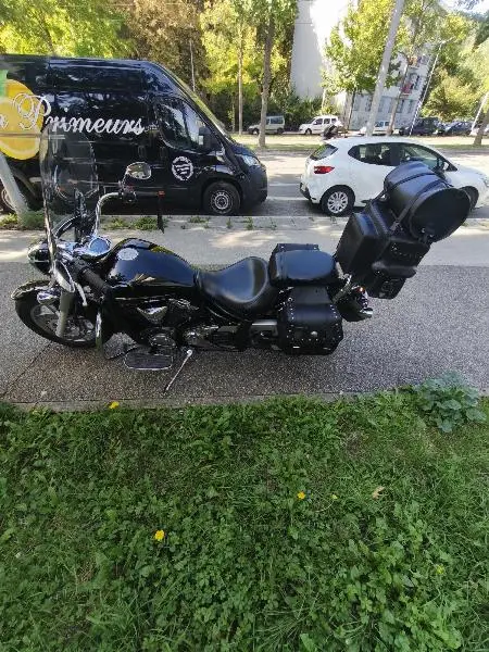 XVS 1300