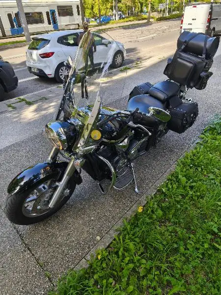 XVS 1300