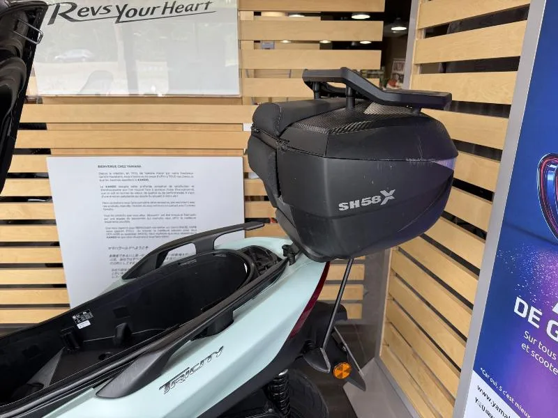 TRICITY 300