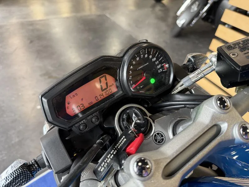 FZ1