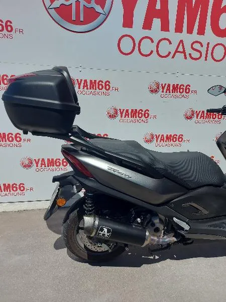 TRICITY 300