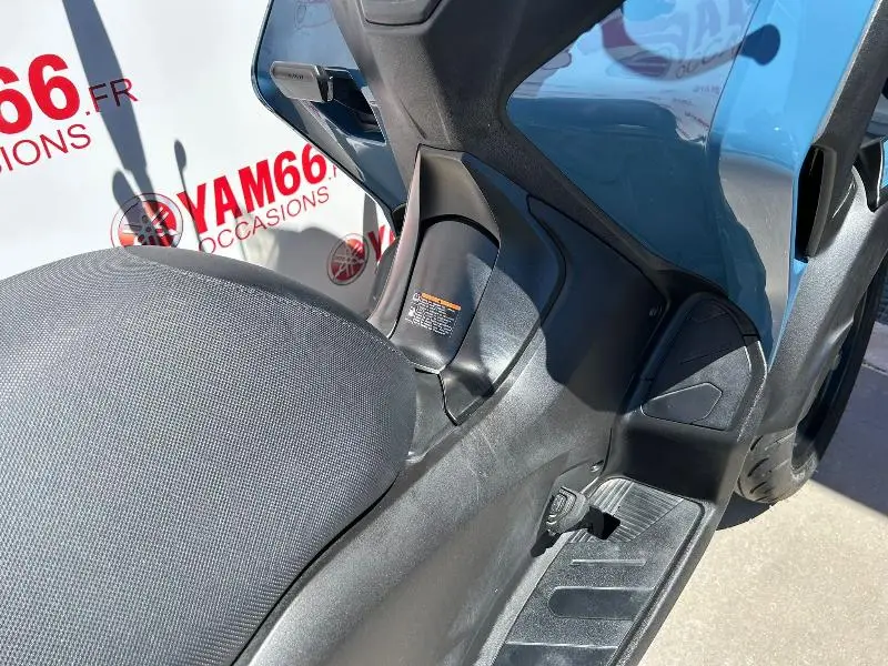 TRICITY 300