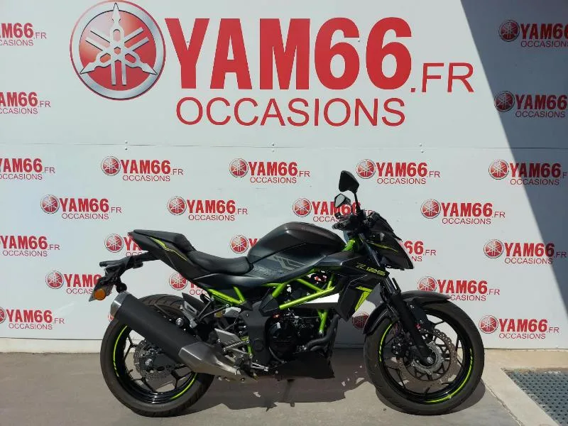 Z125 2024