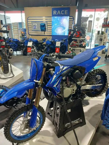 YZ65