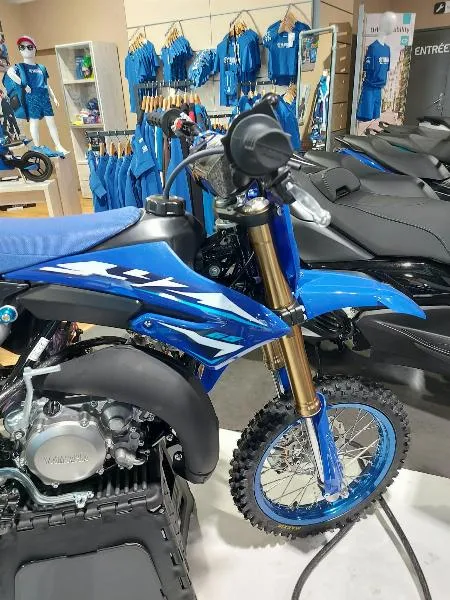 YZ65
