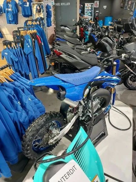 YZ65