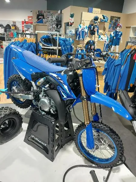 YZ65