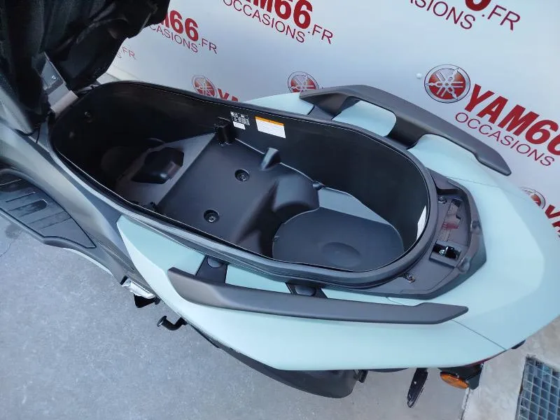 TRICITY 300