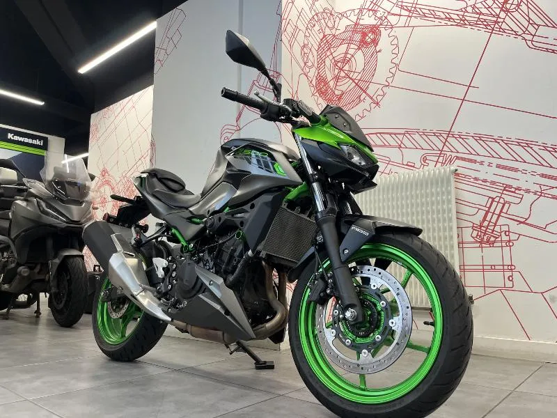 Z 500 SE
