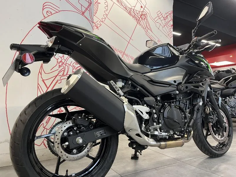 Z 500