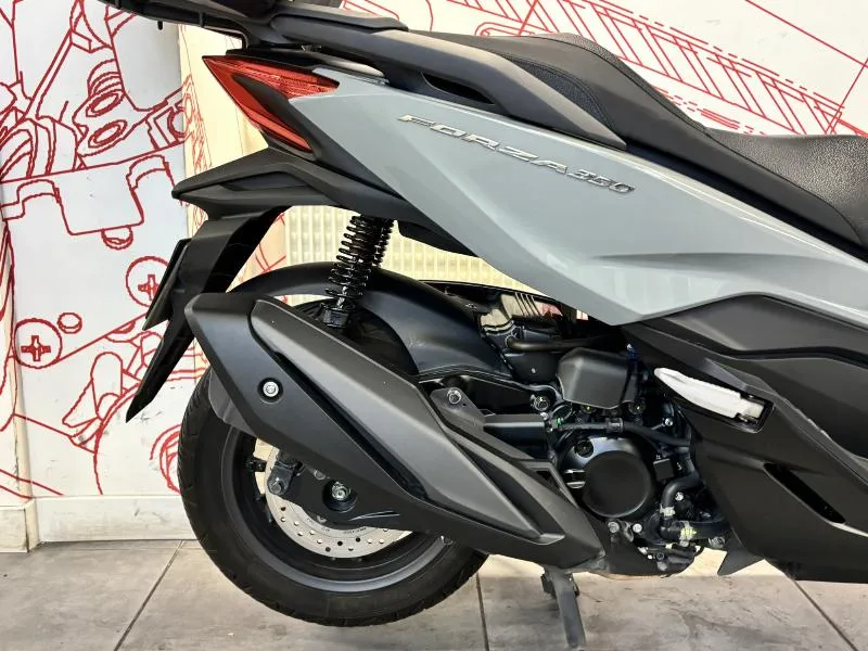 NSS FORZA 350