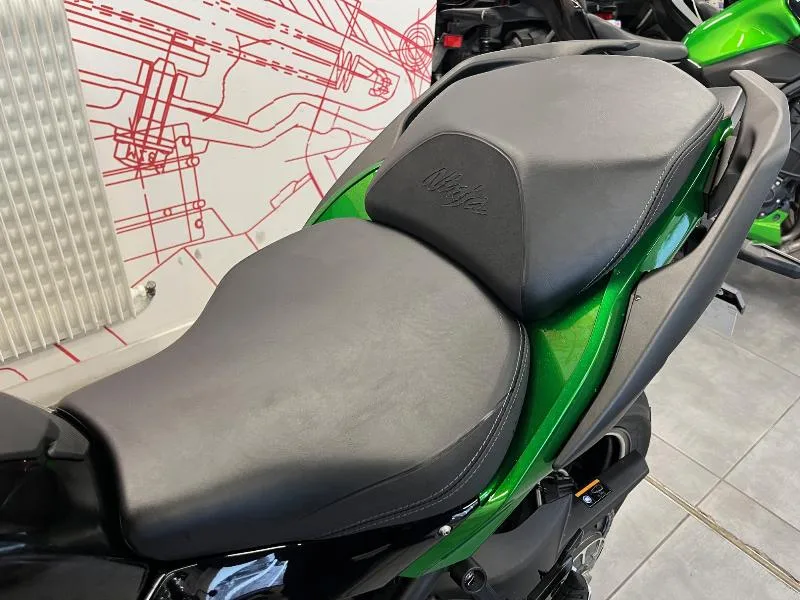 Ninja H2 SX SE