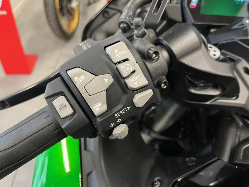 Ninja H2 SX SE