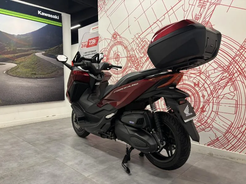 NSS FORZA 350