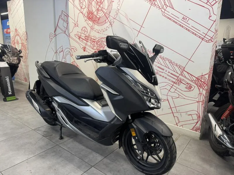 NSS FORZA 300 2021