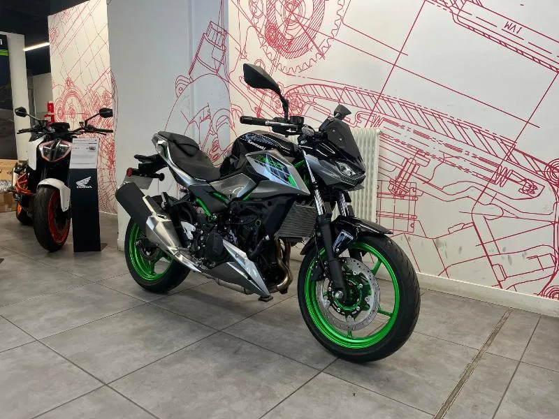 Z 500 SE