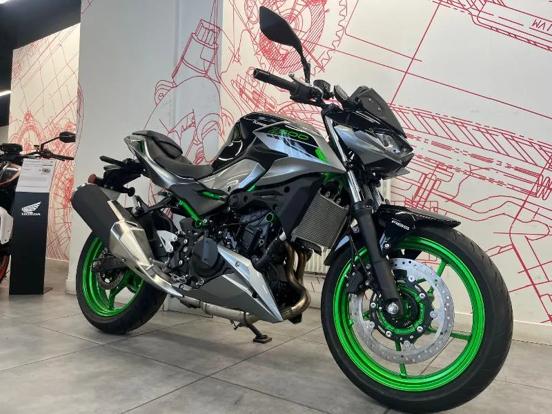 Z 500 SE