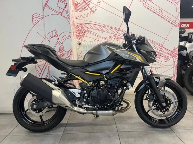 Z 500