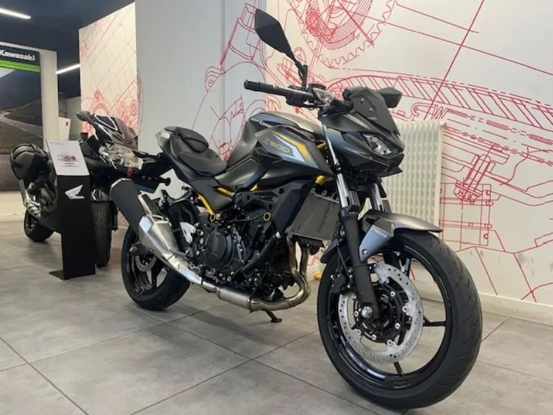 Z 500
