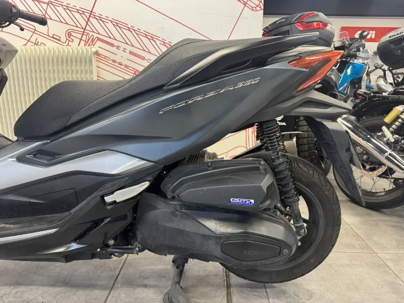 NSS FORZA 350