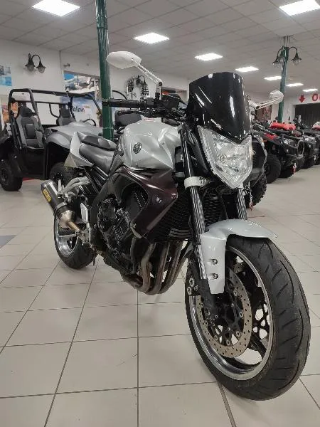 FZ1