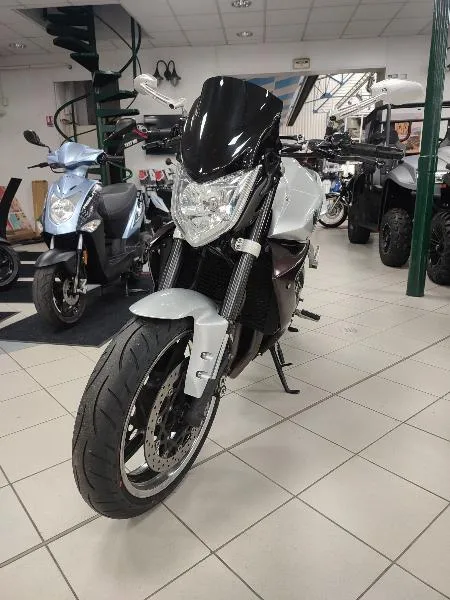 FZ1