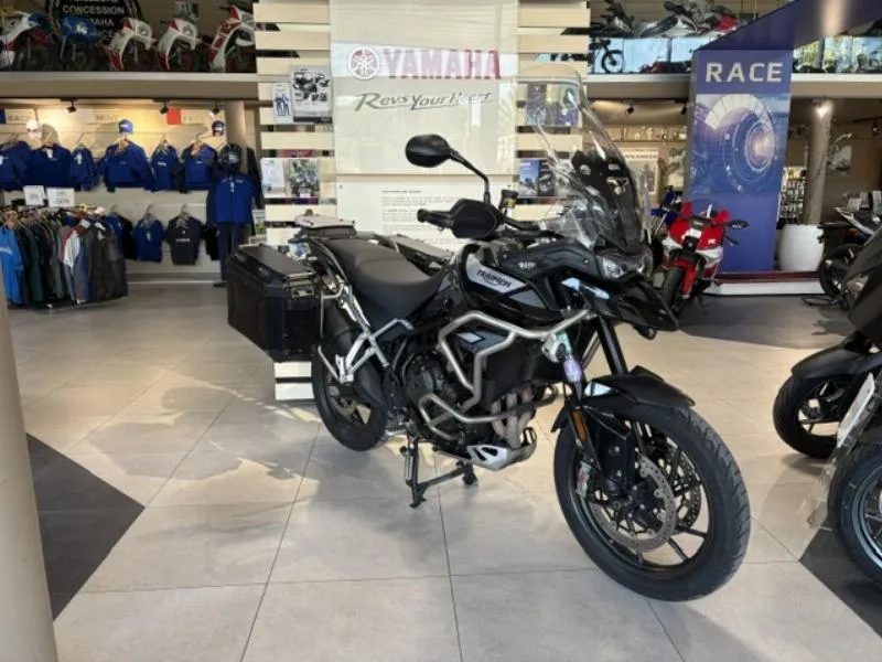 Tiger 900 GT PRO