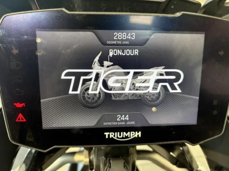 Tiger 900 GT PRO