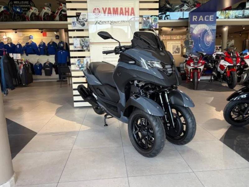 TRICITY 300
