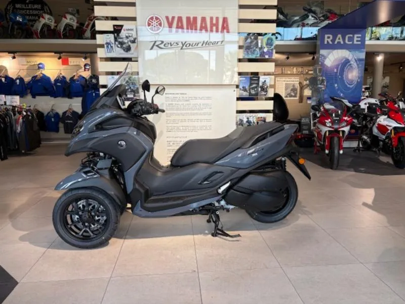 TRICITY 300
