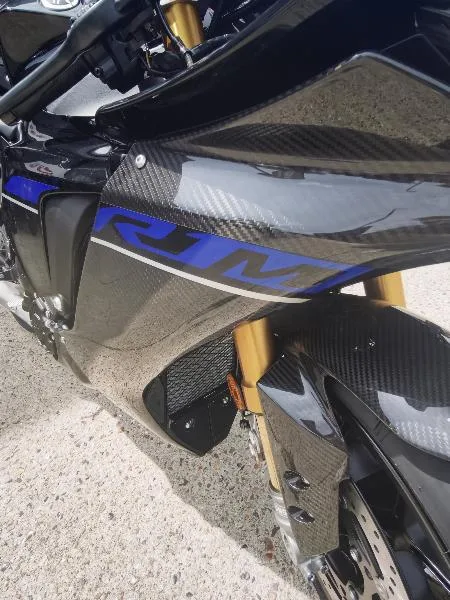 R1M