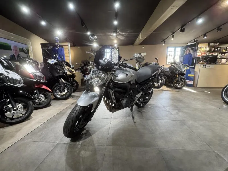 FZ6 