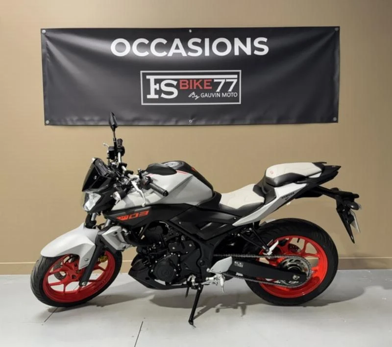 MT03