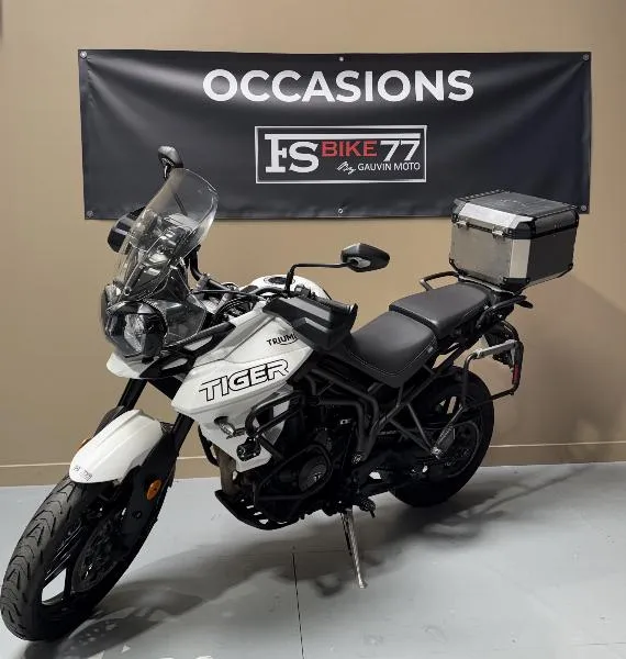 TIGER 800 XRX