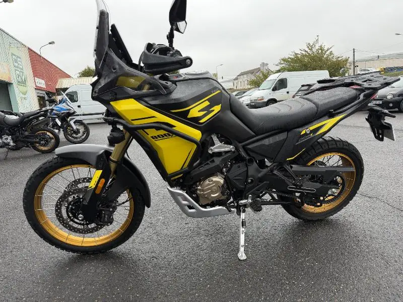 DS 800 X RALLY