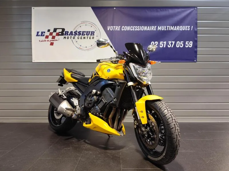 FZ1