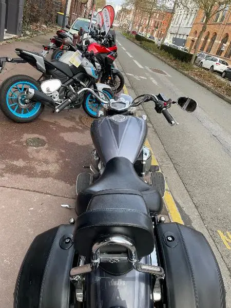 XVS 1300