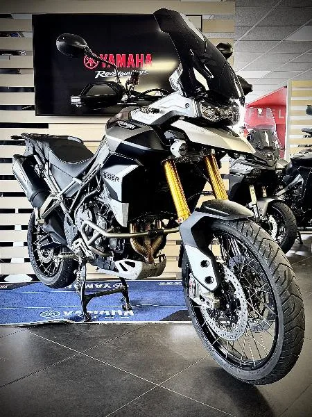 TIGER 900 RALLY PRO