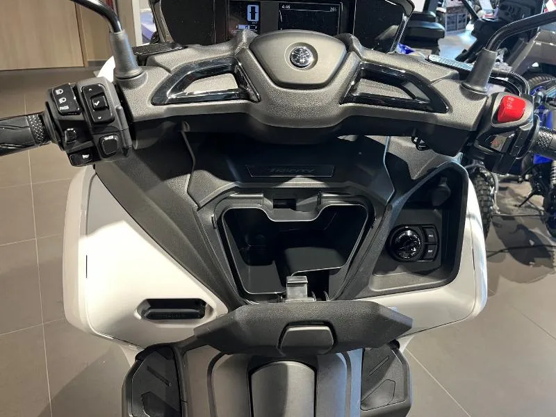TRICITY 300