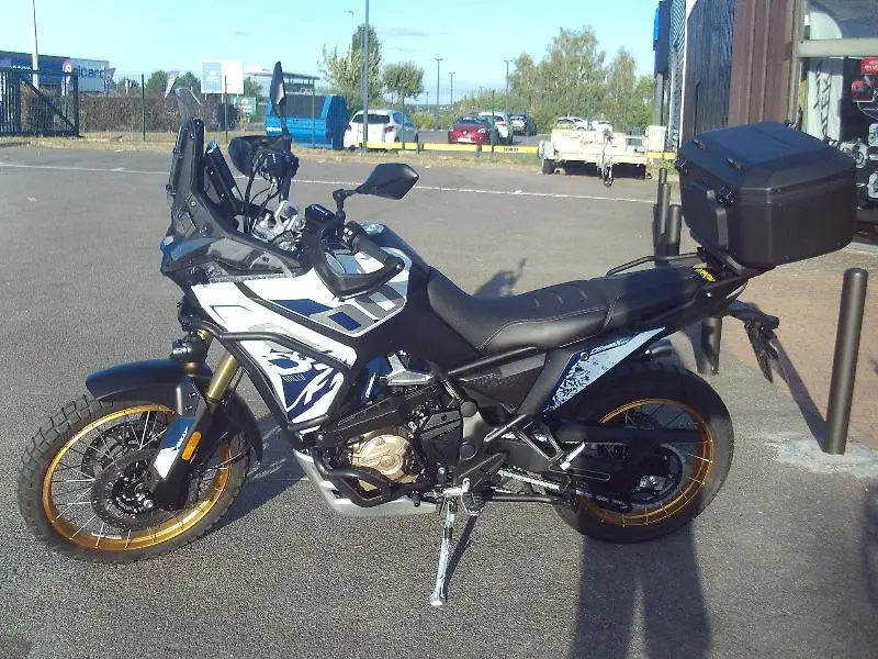 DS 800 X RALLY