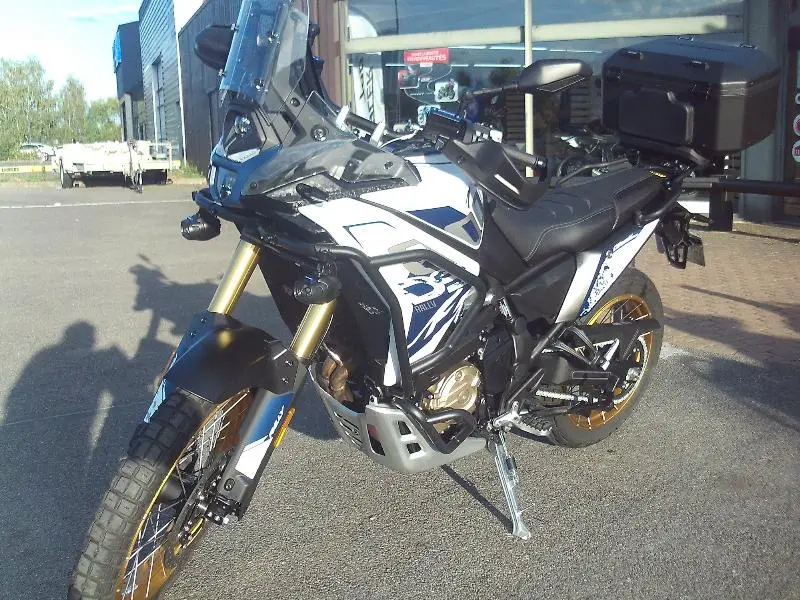 DS 800 X RALLY
