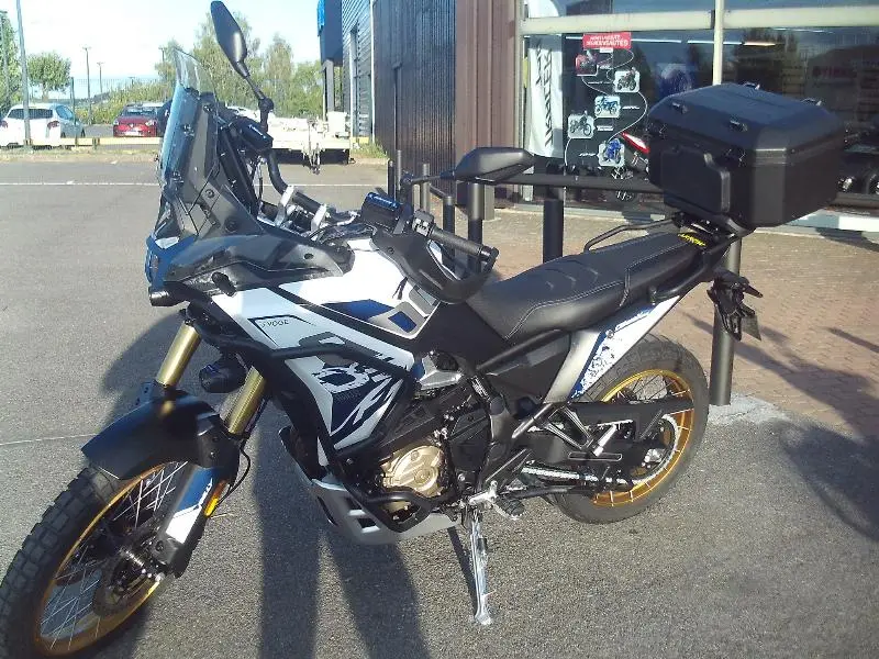 DS 800 X RALLY