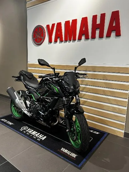 Z 500 SE