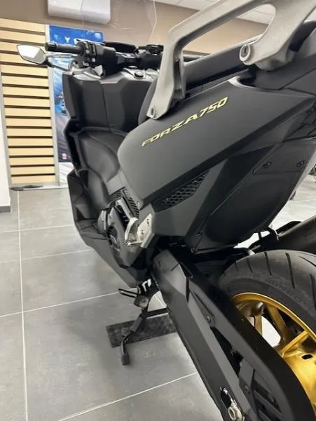 NSS FORZA 750