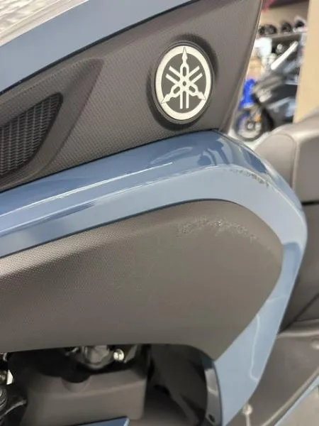 TRICITY 125