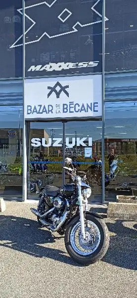 XL 1200 CUSTOM