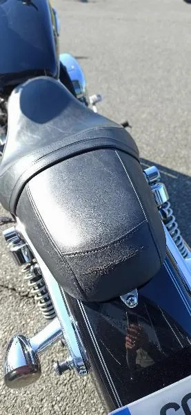 XL 1200 CUSTOM